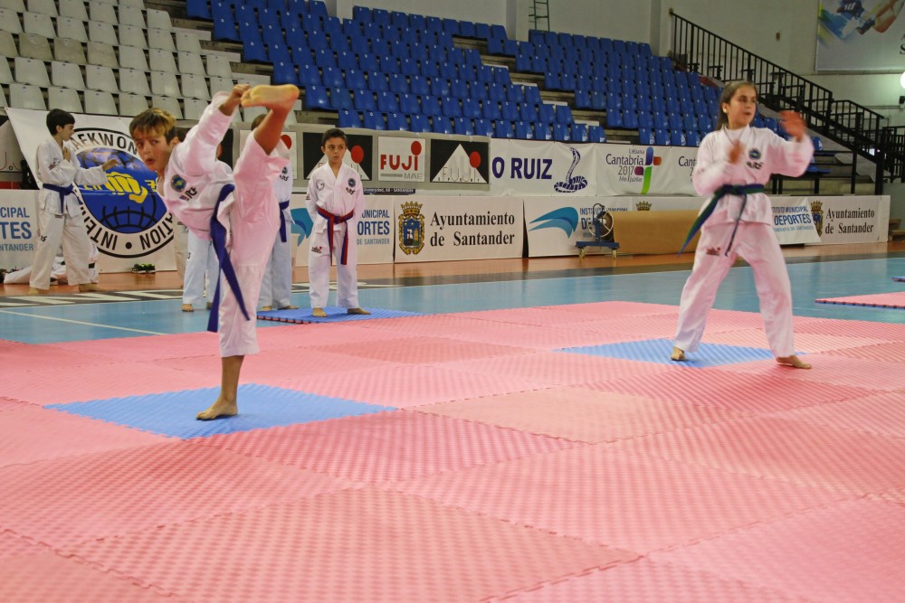 Taekwondo Dic 2016 (209).jpg